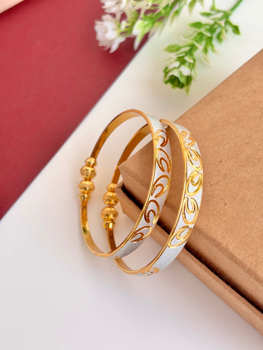 Aarya dailywear bangles kada set of 2