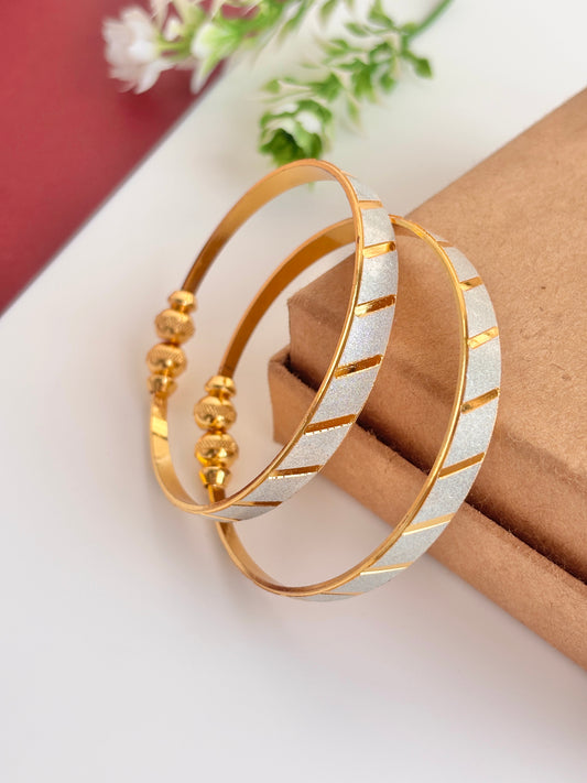 Kavya dailywear bangles kada set of 2